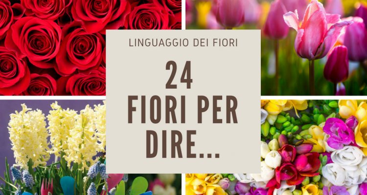 il significato dei fiori