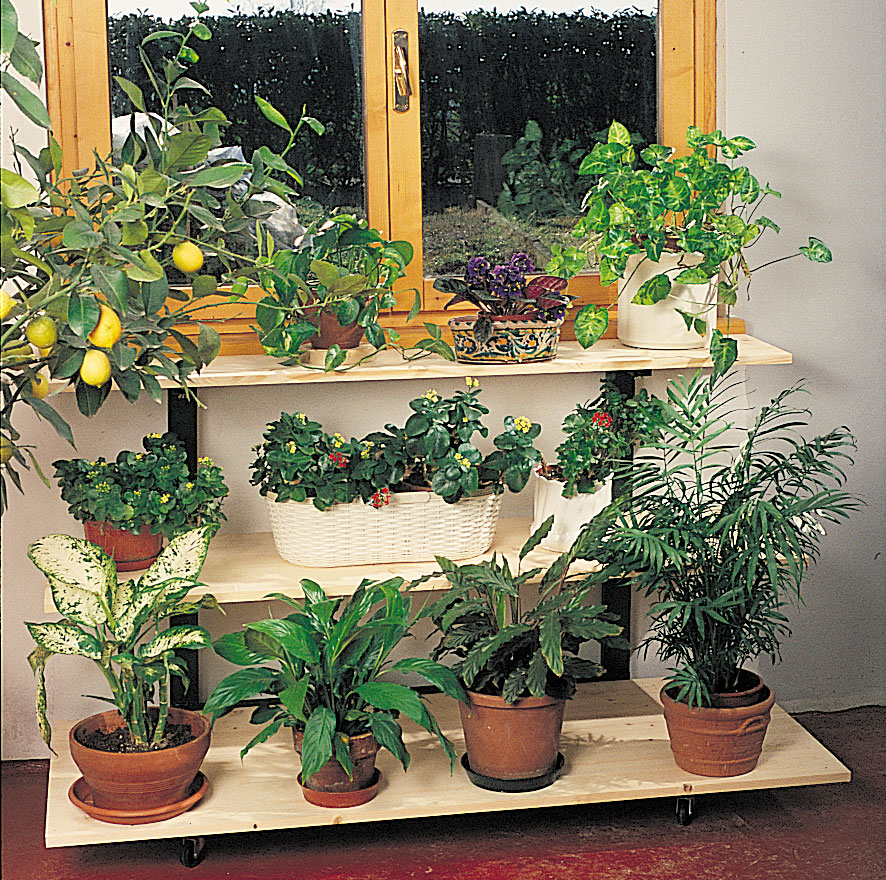 Carrello per piante d'appartamento
